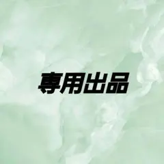 専用出品