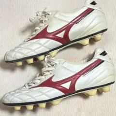 2025年最新】モレリア24.5の人気アイテム - メルカリ