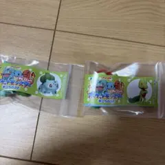 Sydney様　専用ページ