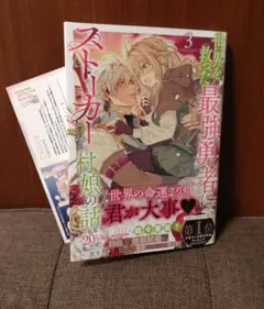 世界を救った最強勇者にストーカーされる村娘の話 第3巻