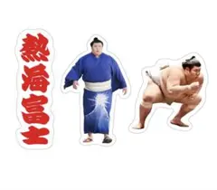 大相撲　熱海富士　力色紙　ホログラムステッカー　セット 新品 大相撲 熱海富士関 ステッカー - メルカリ
