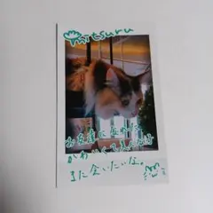 Item thumbnail for item e4d8b869-05e4-4123-a5fa-3dbe50e19cd2