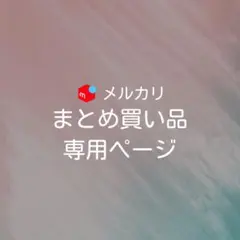 Ken1025様 リクエスト 2点 まとめ商品