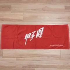 甲子園球場 フェイスタオル レッド