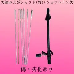 Item thumbnail for item 456a9aad-3fad-409c-91f2-0c2e5de56e1b