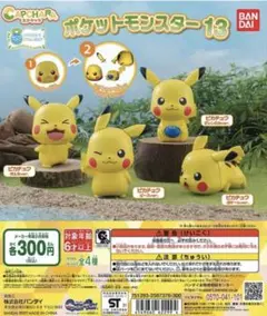カプキャラ ポケットモンスター13 全4種　送料込み