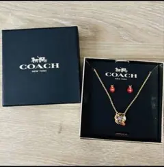 COACH 花とテントウムシのアクセサリーセット