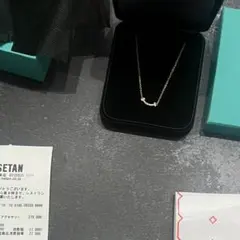 ✨レシート✨【しょうだい様ご専用】Tiffany & Co. ネックレス