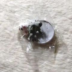 ちいかわ　チョコサプ　ちいかわと鎧さん