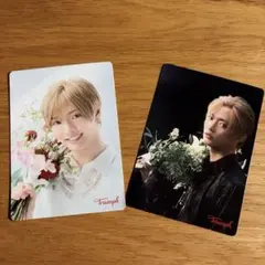 【いろは様】IMP. 佐藤新 Triumph トリンプ メッセージカード 2枚組