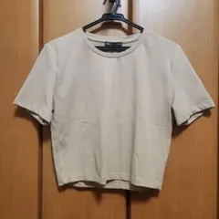 ベージュ 半袖Tシャツ Lサイズ