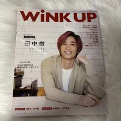 SixTONES WINK UP 11月号 田中樹表紙