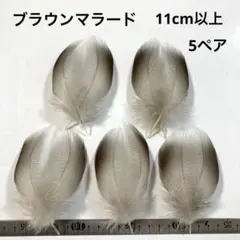 Item thumbnail for item e886caff-6479-4d7f-87dc-fe5a6acc145c