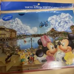 東京ディズニーリゾート クリアホルダー 6枚セット