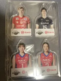 V.LEAGUE 2023-24開幕記念 アクリルスタンド 6体セット - メルカリ