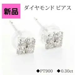 Item thumbnail for item 219790a5-8bae-4f25-94a6-1fd75874972d