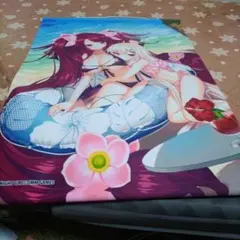 ネコぱら ショコラ&バニラ 描き下ろしB2タペストリー 水着ver. - メルカリ