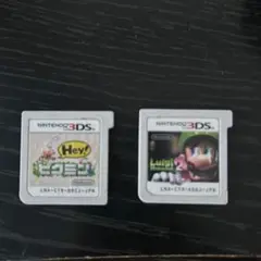 Nintendo 3DS Hey! ピクミン ルイージマンション