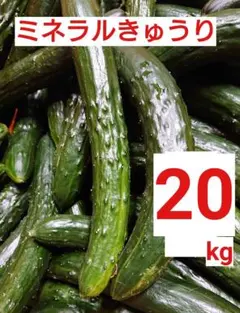 tatsumin様専用】訳ありきゅうり 福島県産 20kg - メルカリ