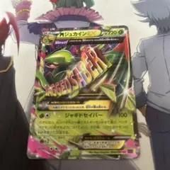 2025年最新】MジュカインEX srの人気アイテム - メルカリ