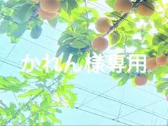 専用ページ　プルームオーラ本革カバー