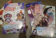 黒髪皇女は離婚したい　2巻セット