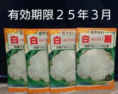ハナコ♡(発送遅延中・PF)‼️様 リクエスト 2点 まとめ商品