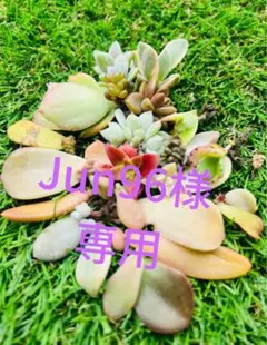 Jun96様 1399-70=1329 円　リクエスト 3点 まとめ　おまけ付き