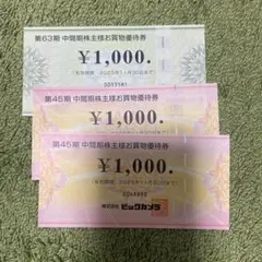 ビックカメラ　コジマ　株主優待　3000円