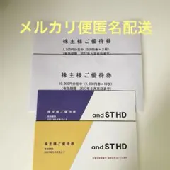 アンドエスティHD 株主優待券11500円分のサムネイル