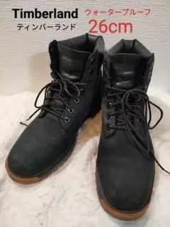 Item thumbnail for item 28cab29a-8b33-40a2-ae3b-9d8bc6eeea6f