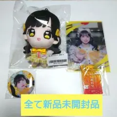 LOVE 瀧脇笙古 公式グッズ ぬいぐるみ - メルカリ