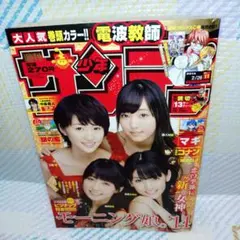 週刊少年サンデー 2010年52号 平野綾表紙 付録なし - メルカリ