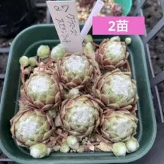 みかんかん様 リクエスト 4点 まとめ商品