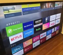2025年最新】sony テレビ 55インチの人気アイテム - メルカリ