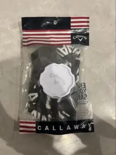 Item thumbnail for item c5b504a2-2d16-4d69-b299-4f3ff05a7555