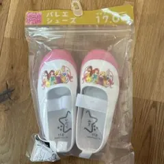 ディズニープリンセス 上履き 17.0cm