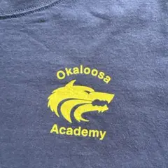 Okaloosa Academy グラフィックTシャツ ネイビー