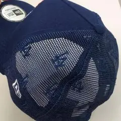 Item thumbnail for item 61d94b33-168c-4c0c-9abf-1aa0525f4134