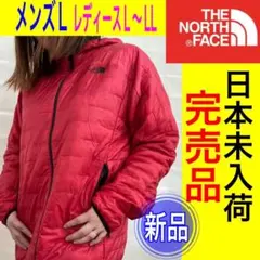 新品　完売品　ノースフェイス　フード　アクティブ　ジャケット　アウター　L LL
