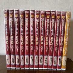 Monthly DVD 12枚セット　七田 七田式 しちだチャイルドアカデミー マンスリーDVDのみ ルビー 10枚（2