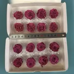 ナナガーデンローズのカシスベリーが2箱