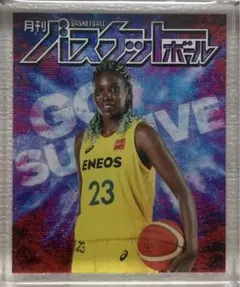 Wリーグ 23-24シーズン ローヤシン 選手のサムネイル