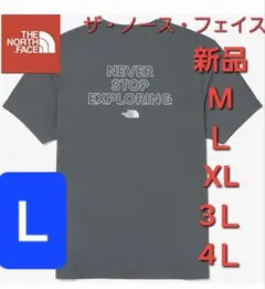 ノースフェイスTHE NORTH FACE 　半袖　Tシャツ　新品　トップス Ｌ