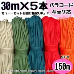 Item thumbnail for item b640a8e0-10b2-4652-84dc-cd5964c32321