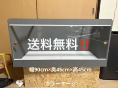 爬虫類ケージ 90×35×35㎝ ゲージ GEX 爬虫類ケージ GEX エキゾテラ グラステラリウム 3045
