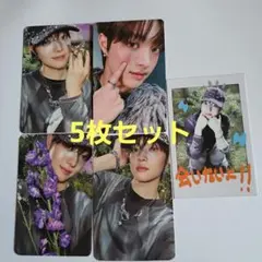 Back to life &TEAM EJ ウィジュ トレカ