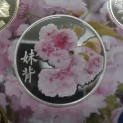 桜の通り抜け 2011 プルーフ貨幣セットの銀コインのみ 造幣局発行