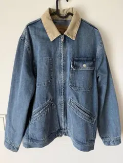 Item thumbnail for item 2d96c3a9-1d0d-4f4b-9695-25446090e1e6