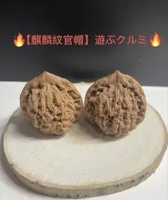 極美品】遊びクルミ文玩核桃・白獅子ホワイトライオン39.5mm経年変化